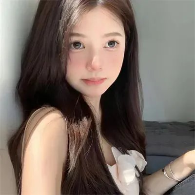 骚狐狸